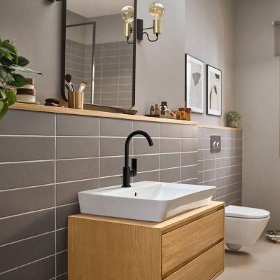 Hansgrohe Rebris S