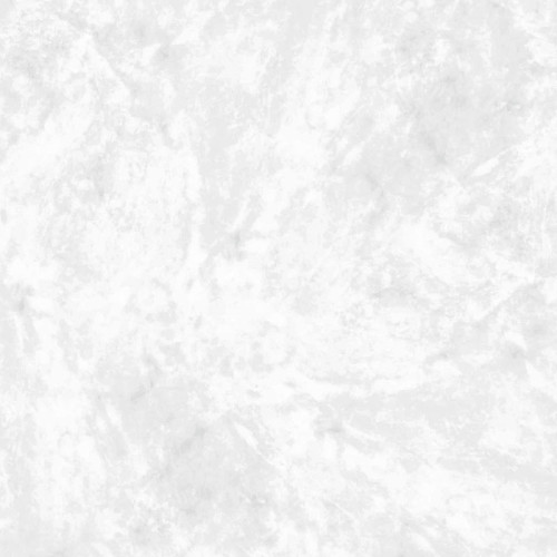 HSK Renodeco Wandverkleidung - Muster Hochglanz, Naturstein, Marmor in Weiß-Grau