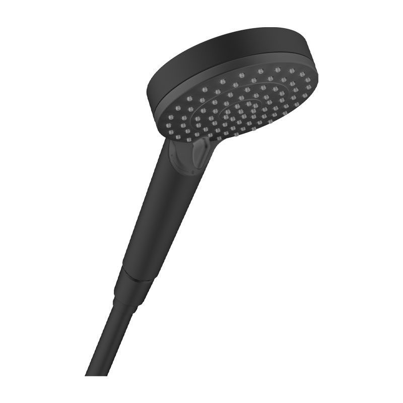 Hansgrohe Vernis Blend Handbrause