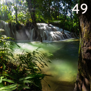 Motiv: Farn am Wasserfall